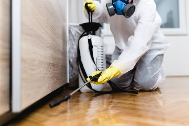 Best Local Pest Control Services  in Bristol, CT