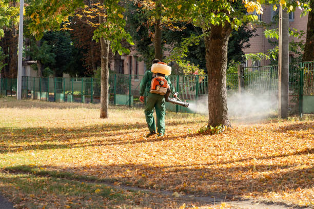 Best Residential Pest Control  in Bristol, CT