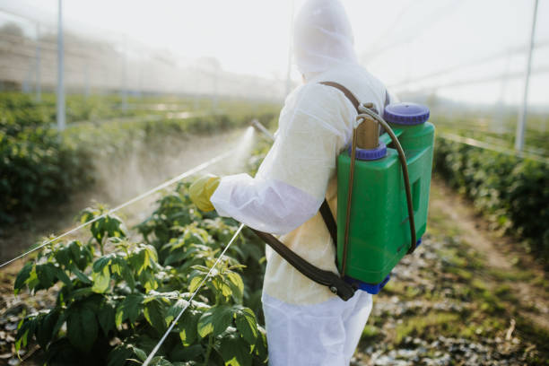 Best Mosquito Control Services  in Bristol, CT